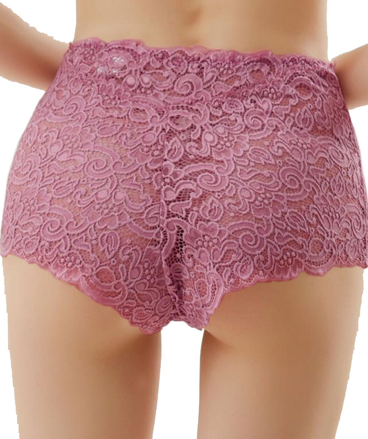 Trifolium Womens Lace Panties Sexy Hipster High Waisted See-Through Lingerie Shorts - 3 Pack