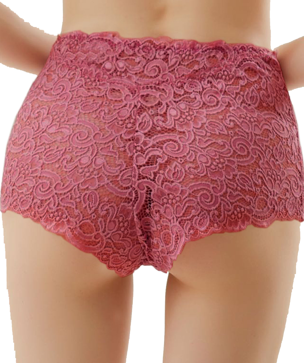 Trifolium Womens Lace Panties Sexy Hipster High Waisted See-Through Lingerie Shorts - 3 Pack