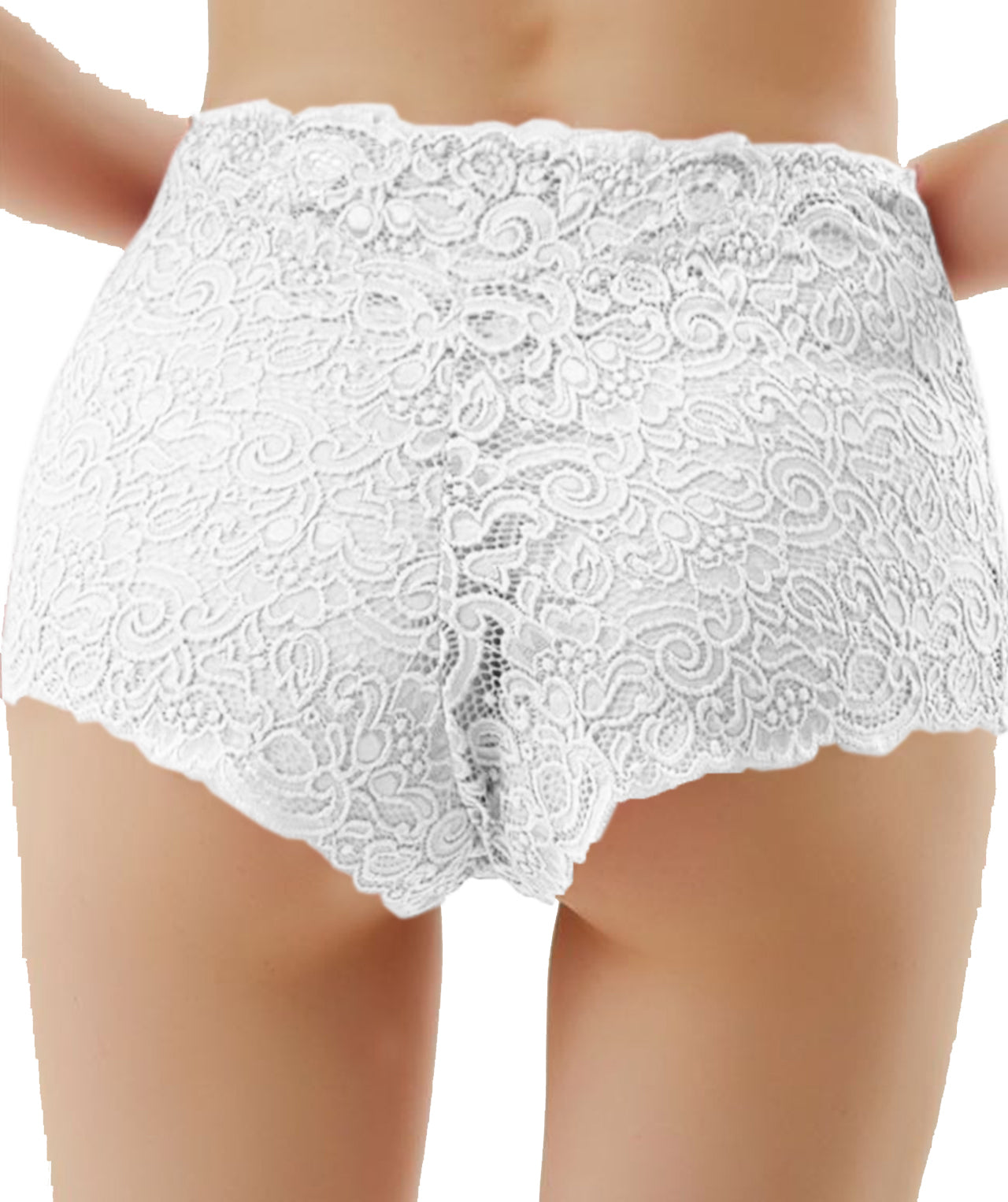 Trifolium Womens Lace Panties Sexy Hipster High Waisted See-Through Lingerie Shorts - 3 Pack