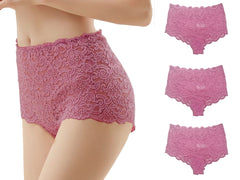 Trifolium Womens Lace Panties Sexy Hipster High Waisted See-Through Lingerie Shorts - 3 Pack