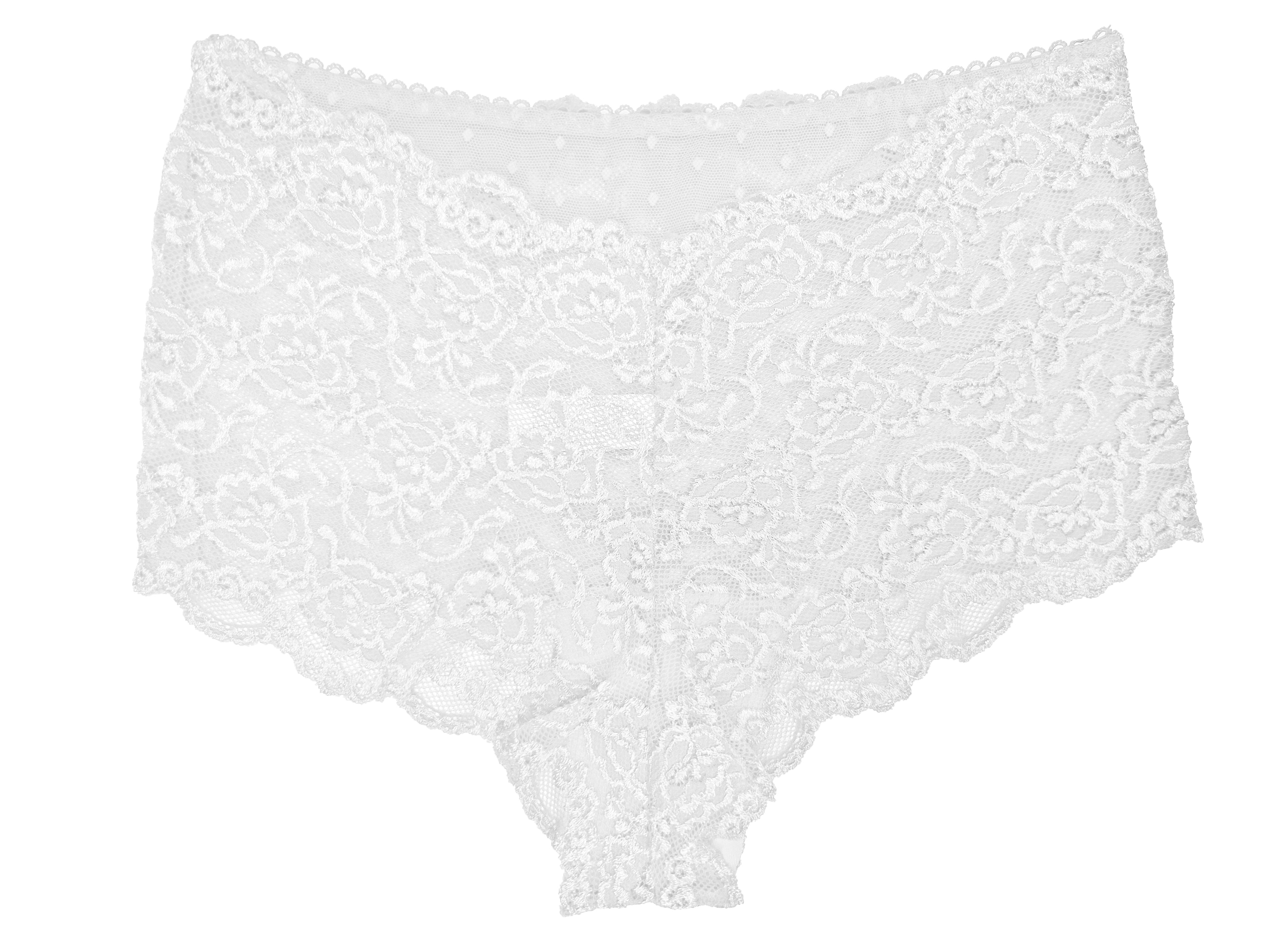 Trifolium Womens Lace Panties Sexy Hipster High Waisted See-Through Lingerie Shorts - 3 Pack